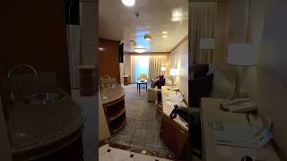 Caribbean Princess Penthouse Suite Walkthrough - R410