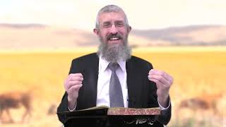 מסכת חולין דף יט - 8 דקות של לומדות ועמקות בדרך הלימוד הישיבתית [Hullin 19]