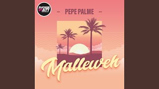 Musik-Video-Miniaturansicht zu Malleweh Songtext von Pepe Palme