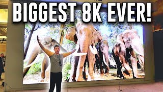 Biggest Samsung 8K TV Ever!