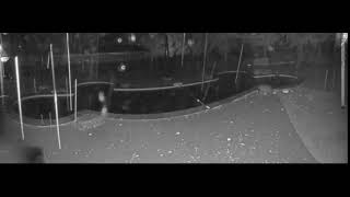 Maryland · Davidsonville · Dogwood Acres Pet Retreat live stream