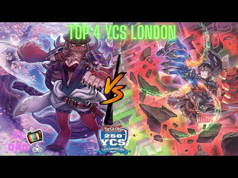 Top 4 Ycs London Fur Hire vs Kashtira