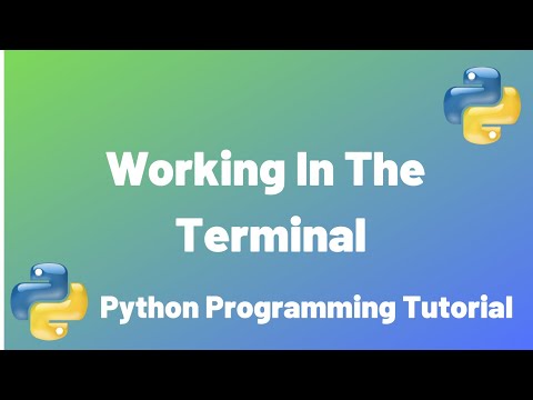 Working In The Terminal Basic Math Python Programming