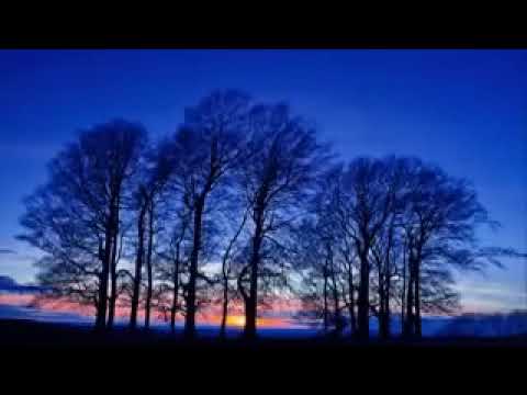 Meditação - Cure sua Vida Enquanto Dorme - Louise Hay