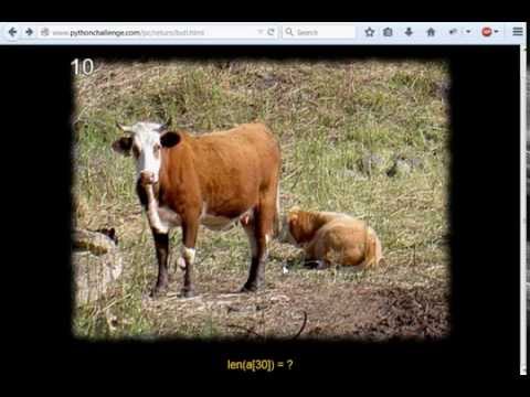 Python Challenge 10 Look and Say