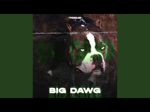 Big Dawg