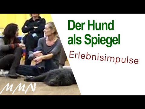 DER HUND ALS SPIEGEL - Maja Nowak live- Veranstaltung in Bern 2018