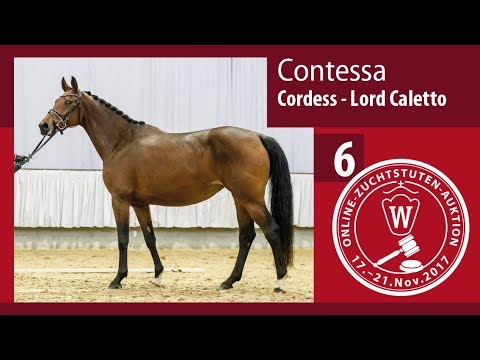 06 Contessa v. Cordess - Lord Caletto