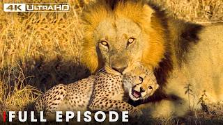African Savannah | The Price of Surviving the Lion | FULL EPISODE | Wildlife Documentary