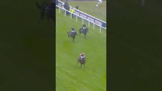 Download lagu Wow! 𝐁𝐚𝐲 𝐂𝐢𝐭𝐲 𝐑𝐨𝐥𝐥𝐞𝐫 causes quite a stir in the Coolmore Coronation Cup at Epsom 🔴⚪️ mp3