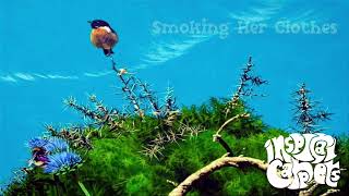 Inspiral Carpets - Smoking Her Clothes