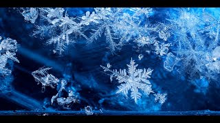 ENYA - MEMORY OF TREES (2 hours extended version......ENJOY!!!)