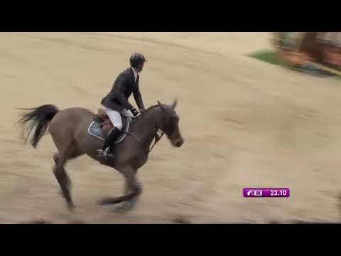Lacrimoso 3*HDC - GP CSIW 5* Leipzig - 2015