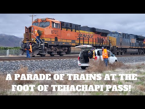 Eine Parade von Zügen am Fuße des Tehachapi-Passes
