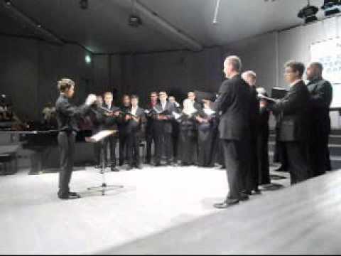 Video Flash Seghizzi 2011 - Collegium Musicale (b)