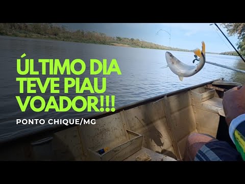 QUE PESCARIA PRAZEROSA DE PIAUS - RIO SÃO FRANCISCO - PONTO CHIQUE/MG.