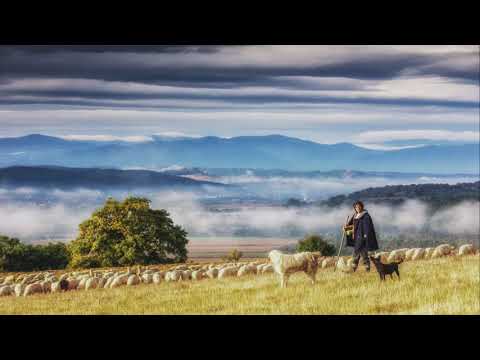 Nu va temeti de furtuna - SSHorj