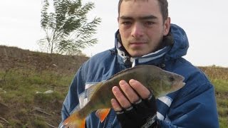Ловля крупного окуня на блесну вертушка