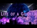Life Of A Gorilla AK The Menace