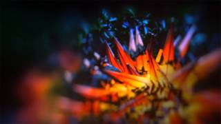 Nils Frahm - More (Late Night Tales: Jon Hopkins)