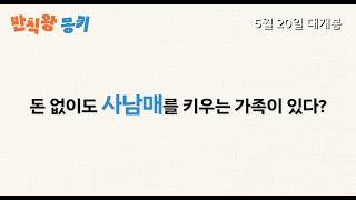 반칙왕 몽키_메인 예고편 1