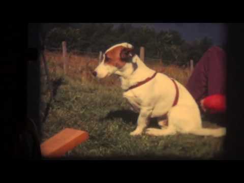 Loch Ness 1970s filming / camping trip. Boring, nothing happens.