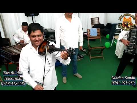 Taraful din Teleorman si Marian Sandu   Colaj de sarbe la Frasinet 2020