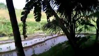 Ebiet G Ade_cita cita kecil si anak desa