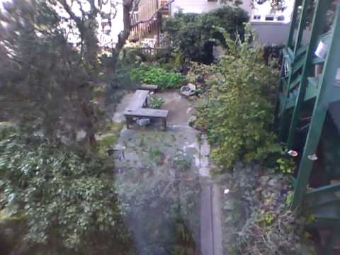 LEASED  1111 Jones Street #6 $1800