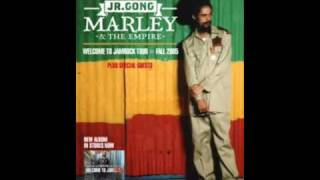 Damian Marley-Pimpass paradise
