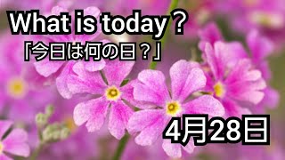 【What is today?】今日は何の日?(0428)|YouTube掲示板《ヒントストック》