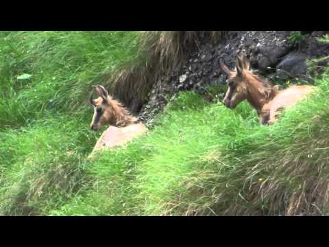 Bucegi 2015   Valea Alba