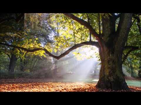 Stan Rudnicki - Spacer jesienny