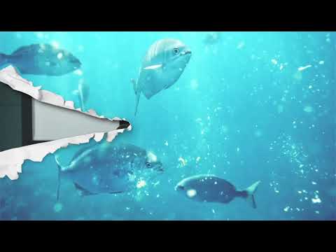 Torn Paper Transitions - Final cut pro X