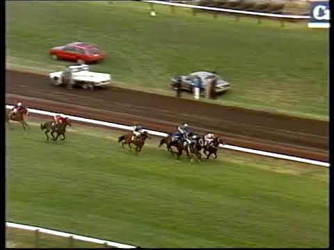 1984 LKS Mackinnon Stks