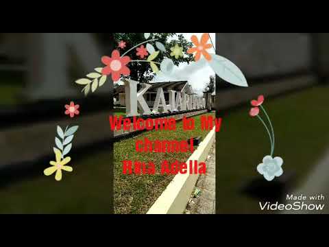 Vidio ke 69 msi mencari bakat Treaner by : Rina emerald MSI Banyuwangi