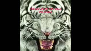 Download lagu Status WhatsApp Jawa (Girilusi Jalmo Tan Keno Ing Ngino) mp3