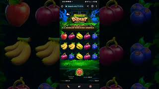 Jungle Delight — Tips & Strategies