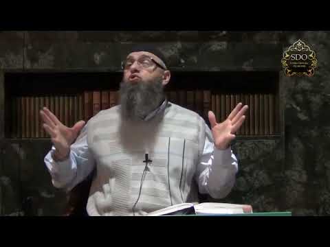 Dove koje su novotarije - dr. Safet Kuduzović