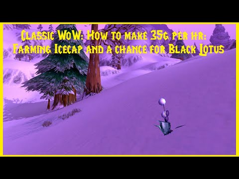 Classic WoW: How to make 35g per hr: Farming Icecap and a chance for Black Lotus