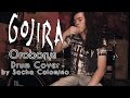 GOJIRA - Oroborus - Drum Cover [HD] 