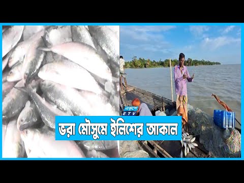 ভরা মৌসুমেও পদ্মা-মেঘনা-তেঁতুলিয়ায় ইলিশের আকাল