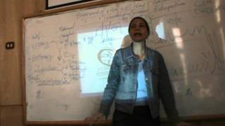 Obstetrics - Dr.Nadine Alaa Sherif - Assessment Of Fetal Well Being - Part 2