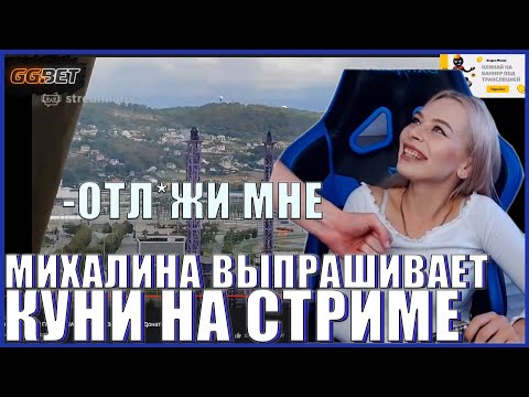МИХАЛИНА ВЫПРАШИВАЕТ КУНИ У СВОЕГО ПАРНЯ НА СТРИМЕ| MIHALINA| ПАРЕНЬ МИХАЛИНЫ