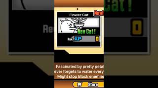 How to get flower cat easy.            (Battle cats)