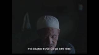 Peilis skaidriame vandenyje (Knife in the Clear Water) I Kino pavasaris 2017