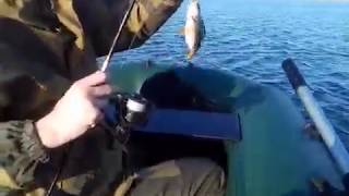 Поймать карася в волгограде 13. 09. 2020г
