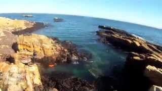preview picture of video 'Caza submarina Quintero'