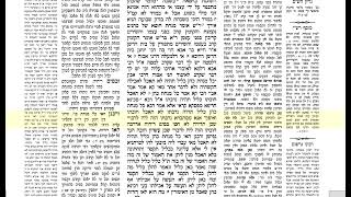 דף היומי מנחות דף עד