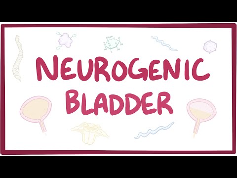 Neurogenic bladder - causes, symptoms, diagnosis, treatment, pathology